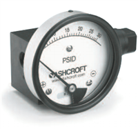 1131 Differential Pressure Gauge